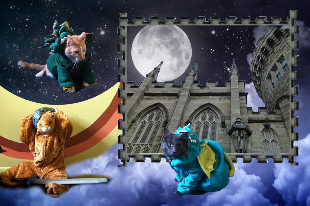 This image has an empty alt attribute; its file name is catdragonscastle.jpg